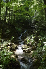 горный ручей