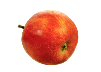 red ripe apple on a white background