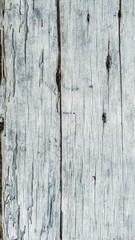 Obraz premium rustic weathered barn wood background with knots and nail holes – vertical mobile friendly