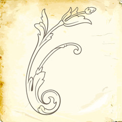 Vector baroque of vintage elements for design.