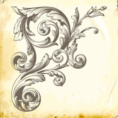 Vector baroque of vintage elements for design. 