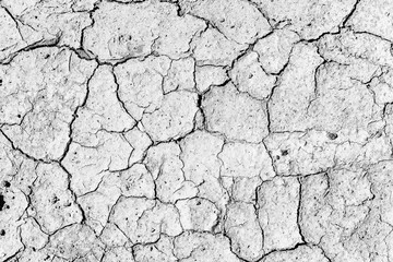 cracks in the ground from droughtcracks