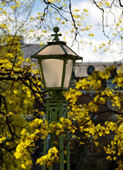 Old lamppost in a public park