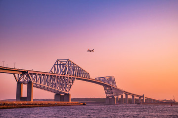 Obraz premium 東京ゲートブリッジの夕景
