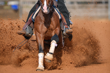 The front view of a rider in jeans, cowboy chaps and checkered shirt on a reining horse slides to a stop in the red clay an arena.