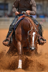 The front view of a rider in jeans, cowboy chaps and checkered shirt on a reining horse slides to a...