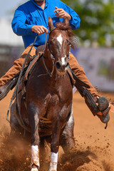 The front view of a rider in cowboy chaps and boots on a horseback stopping the horse in the dust.