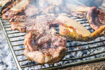 Meat on the grill in nature 