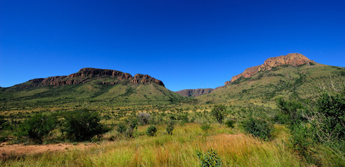 Fototapeta premium Marakele National Park