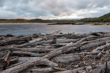 Fototapeta na wymiar Driftwood at Arthur River estuary at dawn, Tasmania