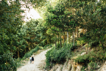 Young couple in love walking in forest, holding hands, photographed from behind