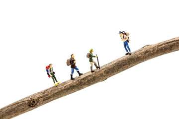 Miniature people travelers trekking on a branch on white background