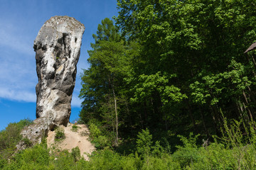 Limestone monadnock, rock called "Maczuga Herkuklesa" (Hercules cudgel or bludgeon). Jurassic rock formation with Pieskowa Skala Castle in the background in Ojcow National Park near Krakow