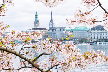 View of Hamburg townhall - Rathaus and Alster river at sunny spring day.