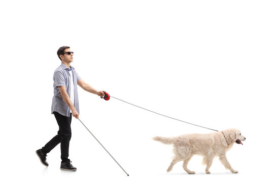 Blind young man walking with the help of a dog
