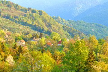 Naklejka na ściany i meble Village in forest, spring landscape, Bosnia and Herzegovina