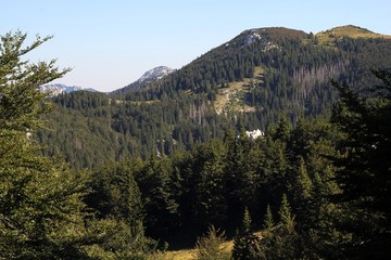 On mountain Velebit in Croatia summer trees green