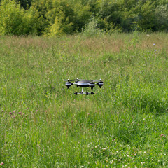 Black quadcopter flying over the grass in the field, drone flight with wireless remote control technology