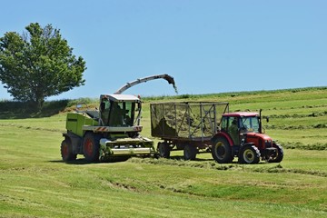 Tractor, agricultural seasonal work, hay making