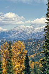 Picturesque rural landscape with morning sunlight over the mountain pass. bright autumn colours in mixed coniferous - deciduous forest. on the slope of the mountain lies the village