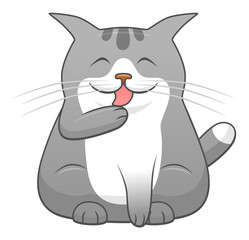 Cartoon cute cat washes