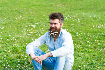 Hipster with smiling face, green grass background. Handsome man with daisy or chamomile flowers in his beard. Spring freshness concept. Man with beard and mustache enjoying sunny day outdoors