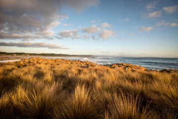 coastline, West Point Reserve, Tasmania