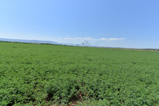 tarım