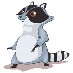 Raccoon animal cartoon vector illustration isolated on white background.