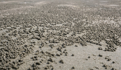texture of sand for background