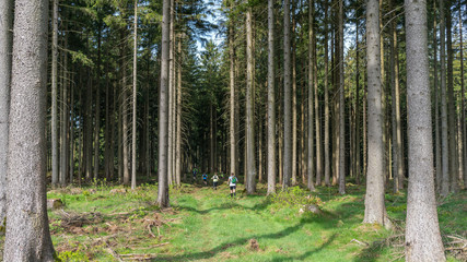 Mountain trailrunning