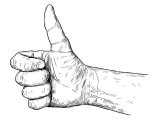 Vector artistic pen and ink drawing illustration of thumb up hand gesture. Business concept of success and social network like symbol.