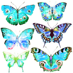 Fototapeta na wymiar beautiful butterflies, set,watercolor,isolated on a white