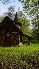 Gänse im Park in Hamburg