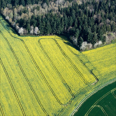vue aérienne de champs près de Randonnai dans l'Orne en France