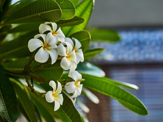 Dubai. Night and day city. Burj Khalifa. City centre. Dubai Marina. City attraction.