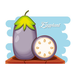 fresh eggplant healthy food vector illustration design