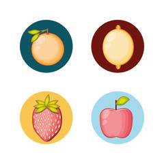 set fruits healthy food vector illustration design
