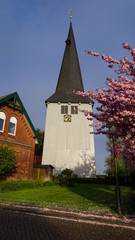 Obstplantagen, Obstblüte im Alten Land in Hamburg, Deutschland