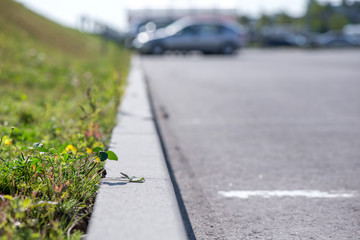 Grass growing out from concrete edge on side of a parking lot