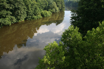 rivière dans la réserve naturelle du sart tilman en belgique
