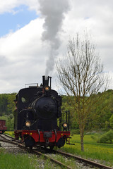 Fototapeta na wymiar Lokomotive der Museumsbahn, Neresheim