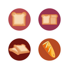 whole grains products food vector illustration design