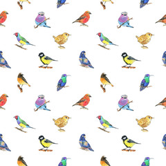 hand drawn painted seamless pattern of watercolor sketch of isolated birds on white background