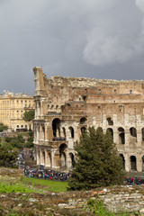 Fototapeta premium Colosseum Rome