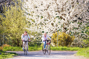 Obraz premium Beautiful senior couple with bicycles outside in spring nature.