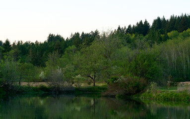 Obraz premium Mud Bay Before Sunset