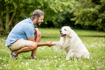 Man training dog in the park