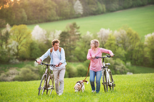 Beautiful Senior Couple With Bicycles And Dog Outside In Spring Nature.