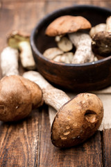 autumn harvest of large mushrooms